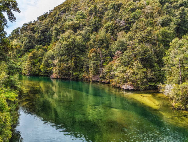 istock Falls River in Abel Tasman National Park 2172349240