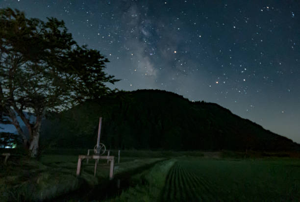 The Milky Way arches over a tranquil water gate, reflecting in the rice fields below. The serene night sky blends with the calm water, creating a harmonious connection between the stars and the landscape.