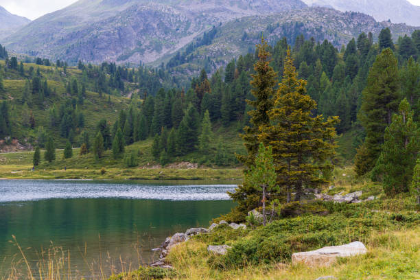 A view of Obersee lake - Austria