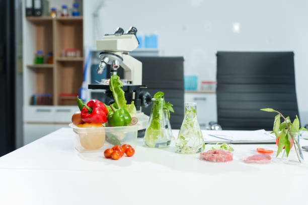 A quiet lab with no people features a desk equipped with a microscope, petri dish, test tubes, and chemical solutions. Research focuses on vegetables, pork, plants, GMO traits for food modification. un laboratorio silencioso sin personas cuenta con un escritorio equipado con un microscopio, una placa de petri, tubos de ensayo y soluciones químicas. la investigación se centra en vegetales, cerdo, plantas, rasgos transgénicos para la modificación de