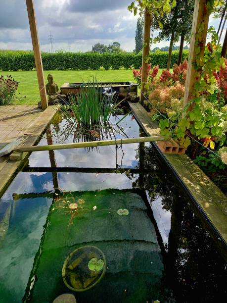 istock Terrace and garden pond in a beautiful garden setting 2172354990