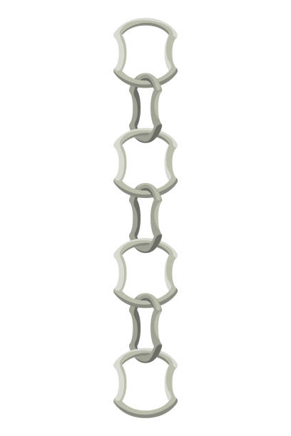 istock Metal chainlets with variety chain links. Silver, stainless steel necklaces vector illustration isolated on white background. Jewelry from precious metals. For jewelry store ad, fashion concept 2172356240