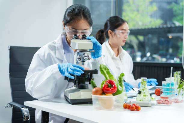 istock Two Asian women in a lab work on food research, using a microscope, petri dish, and test tubes filled with chemical solutions. They study vegetables, pork, and plants for GMO traits and nutrition. 2172356853