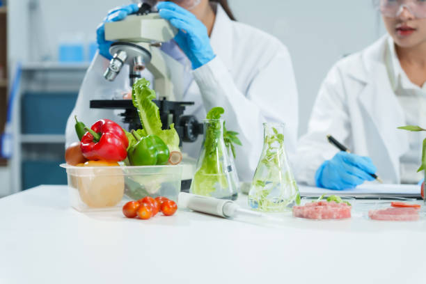 istock Two Asian women in a lab work on food research, using a microscope, petri dish, and test tubes filled with chemical solutions. They study vegetables, pork, and plants for GMO traits and nutrition. 2172356859