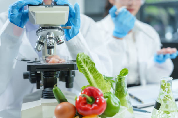 istock Two Asian women in a lab work on food research, using a microscope, petri dish, and test tubes filled with chemical solutions. They study vegetables, pork, and plants for GMO traits and nutrition. 2172356870
