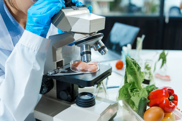 istock Two Asian women in a lab work on food research, using a microscope, petri dish, and test tubes filled with chemical solutions. They study vegetables, pork, and plants for GMO traits and nutrition. 2172356877