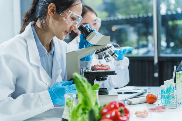 istock Two Asian women in a lab work on food research, using a microscope, petri dish, and test tubes filled with chemical solutions. They study vegetables, pork, and plants for GMO traits and nutrition. 2172356895