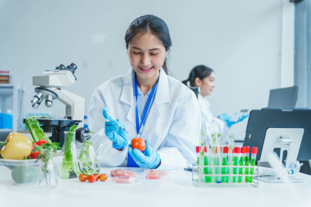 istock Two Asian women in a lab work on food research, using a microscope, petri dish, and test tubes filled with chemical solutions. They study vegetables, pork, and plants for GMO traits and nutrition. 2172356934