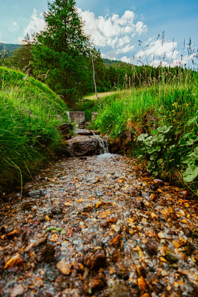 istock Brook Creek Water Stream Flowing Down the Mountain between a Pasture Field 2172357261