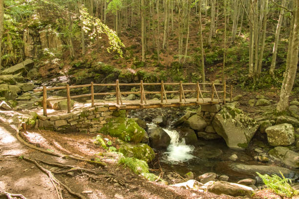 istock The wooden bridges on the Dardagna stream 2172361830