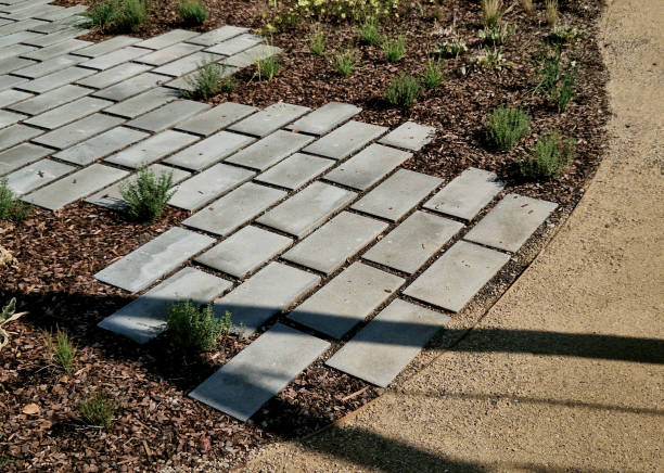 istock flat stones in the garden form a footpath with a bed mulched with bark chips. stepping stones in two rows guide visitors to the park 2172364437