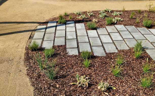 istock flat stones in the garden form a footpath with a bed mulched with bark chips. stepping stones in two rows guide visitors to the park 2172364439