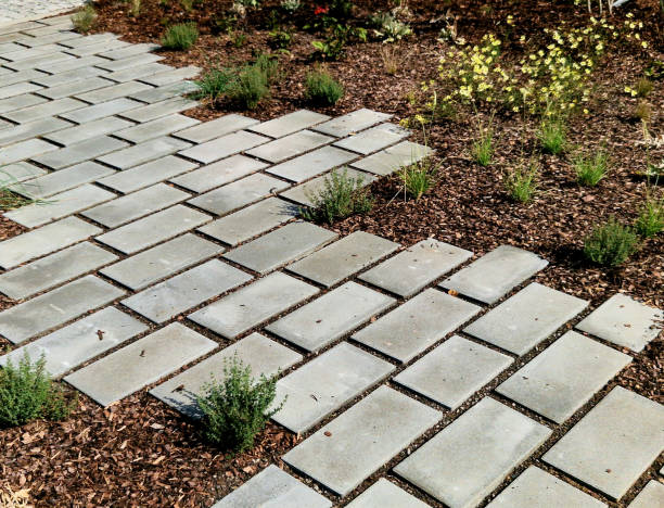istock flat stones in the garden form a footpath with a bed mulched with bark chips. stepping stones in two rows guide visitors to the park 2172364468