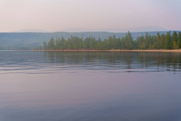 A tranquil lakeshore with smooth sand, reflecting calm water, and a dense pine forest lining the edge under a misty morning light.