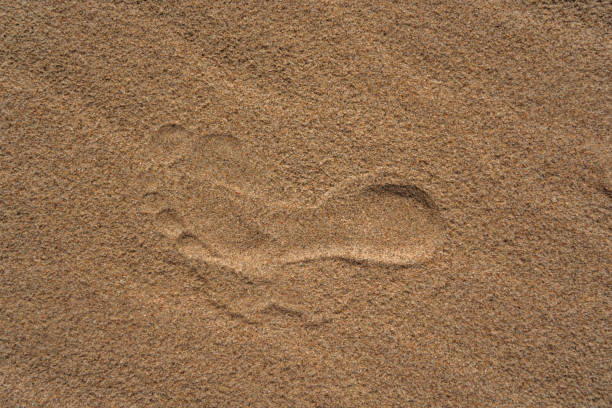 istock Footprint in sandy desert 2172365144