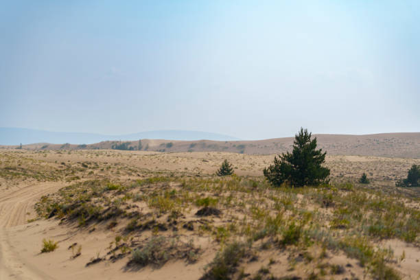 istock Sandy dirt road through desert landscape with sparse vegetation 2172365149