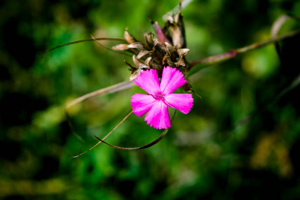 The wonders of nature in the Apennines