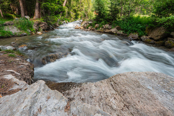 Raging River Stream Flowing in a Nature Landscape Scenery With Plants Trees Rocks