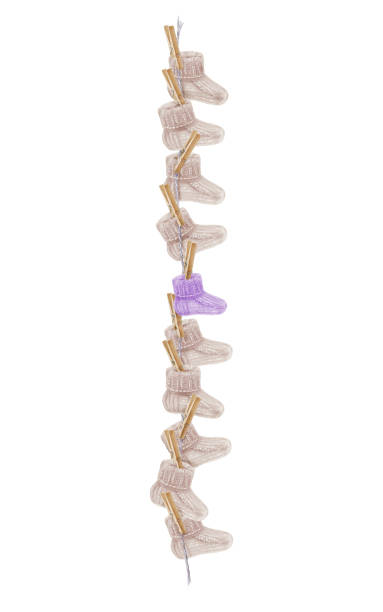 istock 9 crocheted white socks for newborns and 1 purple hang on a string on a clothespin as a symbol of the statistics on the birth rate of premature babies.Watercolor clip art isiolated on white background 2172367577