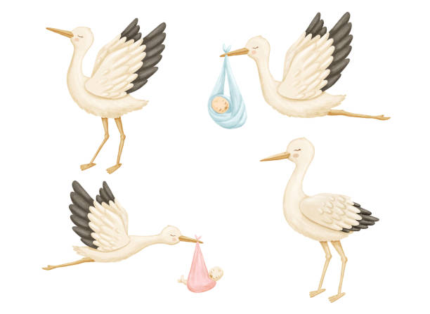 istock Watercolor stork with newborn baby. Cute hand drawn illustrations set isolated on white background 2172370712