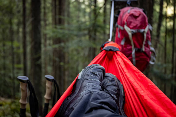 Summer hiking in the mountains with a hammock in a pine forest.