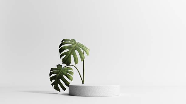 istock 3D rendering of a light stone podium with monstera leaves. 2172373255