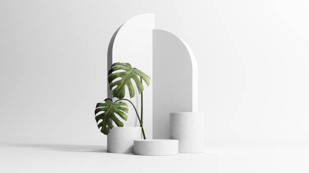 istock 3D rendering of a light stone podium with monstera leaves. 2172373261