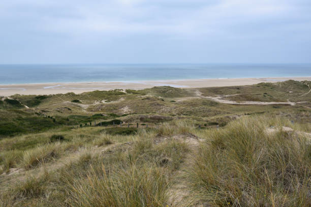 istock Dunes with paths in Hattainville in Normandy, Cotentin region 2172378833