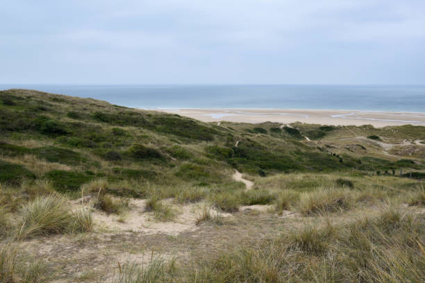 istock Sand dunes in Hattainville in Normandy, Cotentin region 2172379749