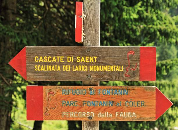 istock Val di Rabbi in Northern Italy 2172383886