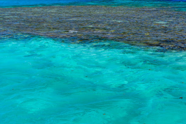 Background of the Red sea water surface