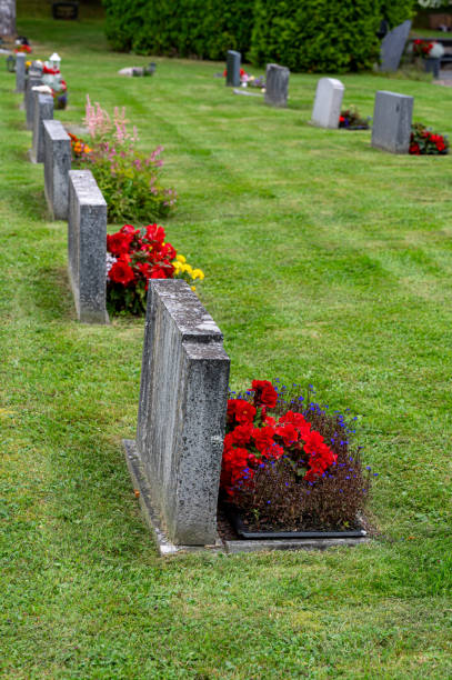 istock Graveyard with grave stones in rows and flowers 2172387228