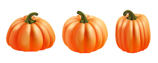 istock ripe pumpkin isolated on background and reflection Vector Illustration Thanksgiving Day and Halloween Mesh gradient is used 2172389227
