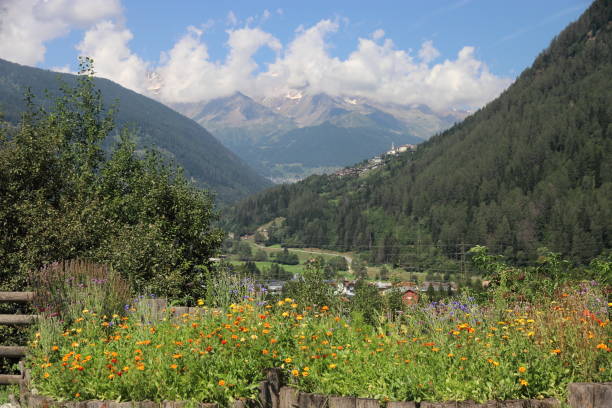 istock Rabbi valley in Northern Italy 2172391209
