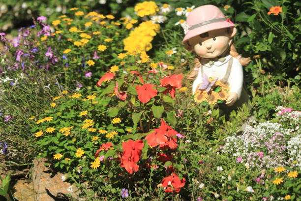 Zinnia is a genus of about 20 species of annual plants of daisy family. Zinnia has a bright, solitary, daisy-like flower-head on a single, erect stem and bloom in a wide variety of colors with large, mixed flowers.
