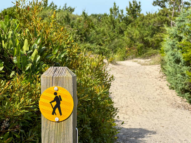 Beautiful landscape in coastal sand dunes. Fort Macon State Park, Atlantic Beach, North Carolina