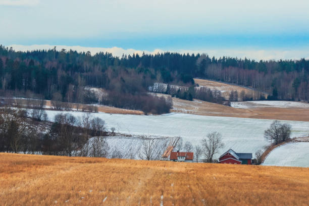 istock Snow-covered fields and tranquil forests of Norway showcasing nature's serene beauty during winter 2172392673