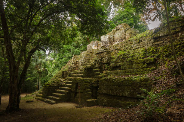 istock Exploring ancient Tikal ruins surrounded by lush greenery in Guatemala's rainforest during a tranquil afternoon 2172395306