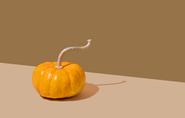 istock Decorative pumpkin on beige background with hard shadow. Autumn holiday concept of Thanksgiving or Halloween. 2172402808