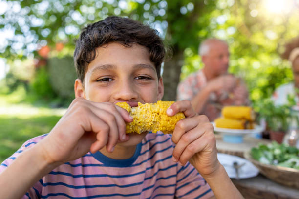 Waist-up shot of a young boy looking into the camera eating corn on the cob. He is wearing casual clothing on a warm sunny day with the family behind him in Castelferrus near Toulouse - France. \n\nVideos are available similar to this scenario.