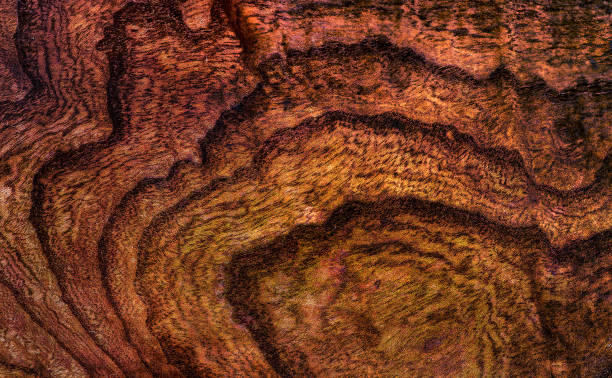 istock Beautiful wood grain. Wood background. Wood grain pattern texture background 2172404578