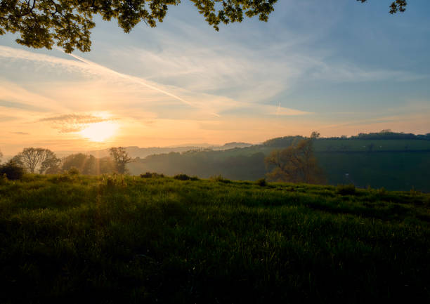 Summers Evening on Farlacombe Farm, Bickington, Newton Abbot, Devon