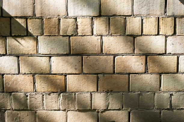 Shadows on brick wall, Abstract background for various uses.
