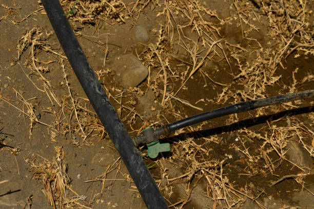 istock an automatic drip irrigation system for his garden. Fixing and connecting pipes using a fitting 1 2172405451