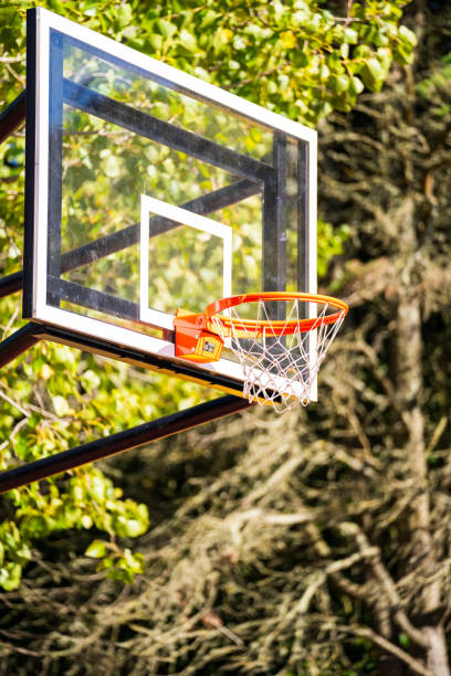 istock Basketball board with trees behind 2172406711