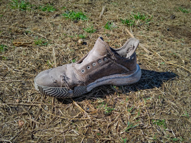 Children's sneakers scattered on green grass, accompanied by a small tennis ball. The image captures an outdoor play scene with fallen leaves adding a touch of autumn
