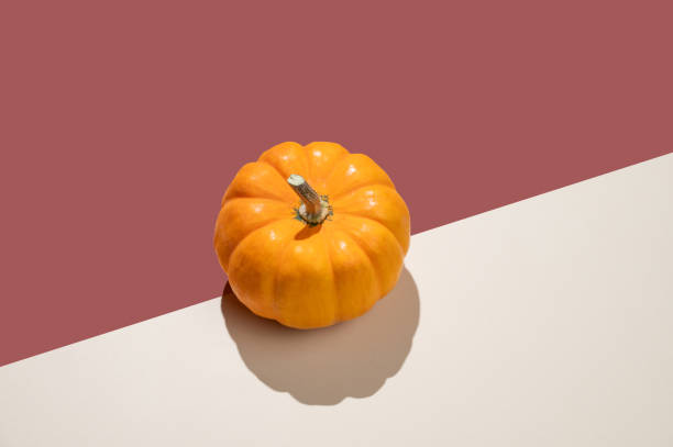 istock Decorative pumpkin on bright  background with hard shadow. Autumn holiday concept of Thanksgiving or Halloween. 2172406867