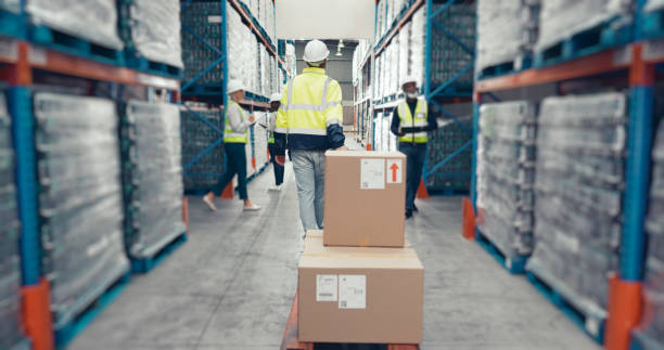 Export, box and shipping with people in warehouse for distribution, freight center or supply chain. Logistics, delivery and cargo storage with wholesale for customs compliance in inventory management exportación, embalaje y envío con personas en almacén para distribución, centro de carga o cadena de suministro. logística, entrega y almacenamiento de carga con venta al por mayor para el cumplimiento aduanero en la gestión de inventarios