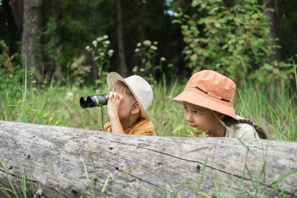 istock Small children are exploring the forest, looking through binoculars from the shelter. 2172409598
