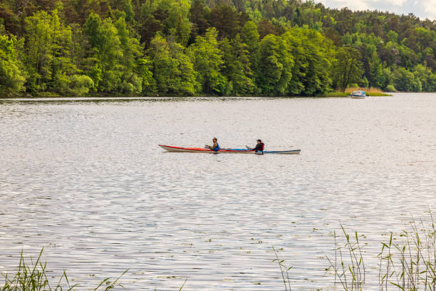 Sweden. Uppsala. 09.15.2024. Two people kayaking on calm lake surrounded by lush green forest.